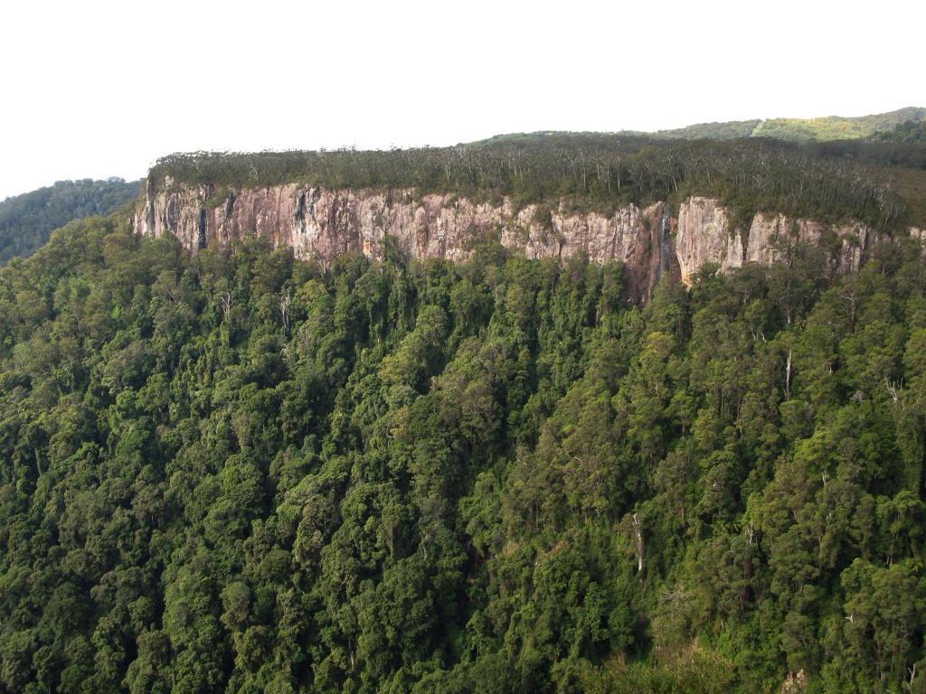 Springbrook Lyrebird Retreat Exterior foto