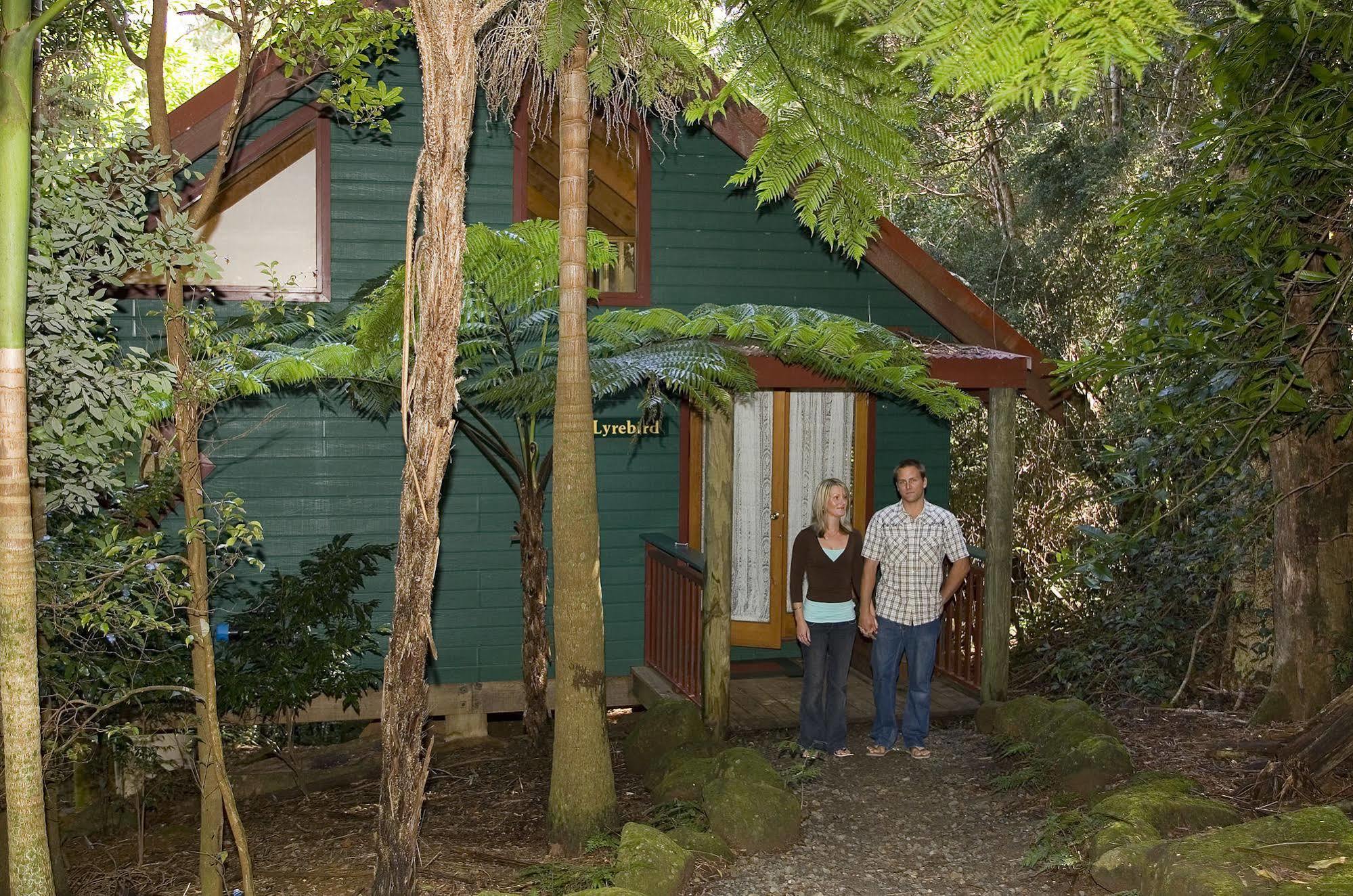 Springbrook Lyrebird Retreat Exterior foto