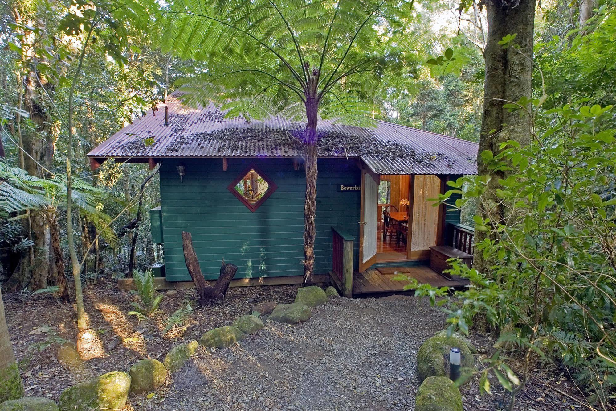 Springbrook Lyrebird Retreat Exterior foto