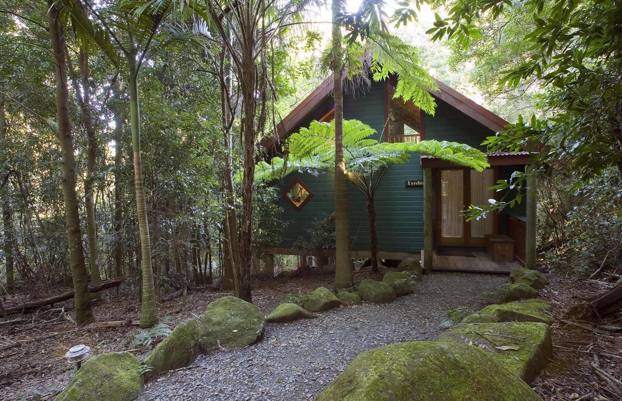 Springbrook Lyrebird Retreat Exterior foto