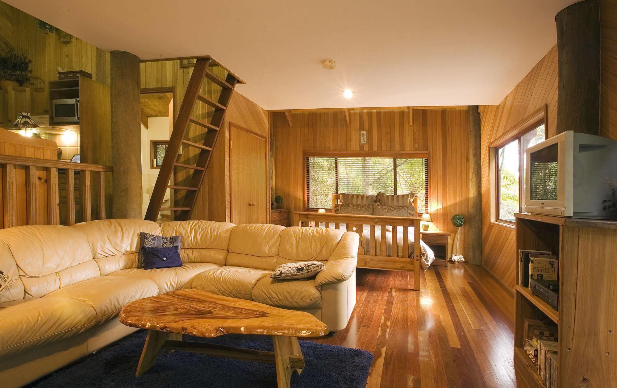 Springbrook Lyrebird Retreat Exterior foto