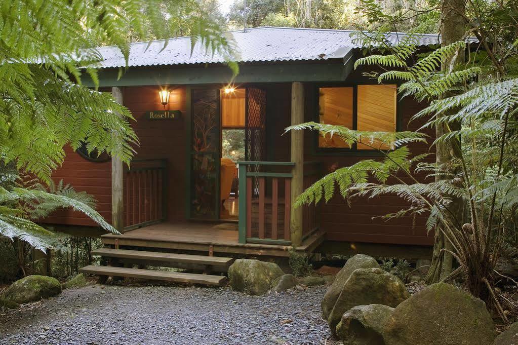 Springbrook Lyrebird Retreat Exterior foto
