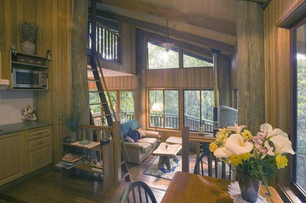 Springbrook Lyrebird Retreat Exterior foto